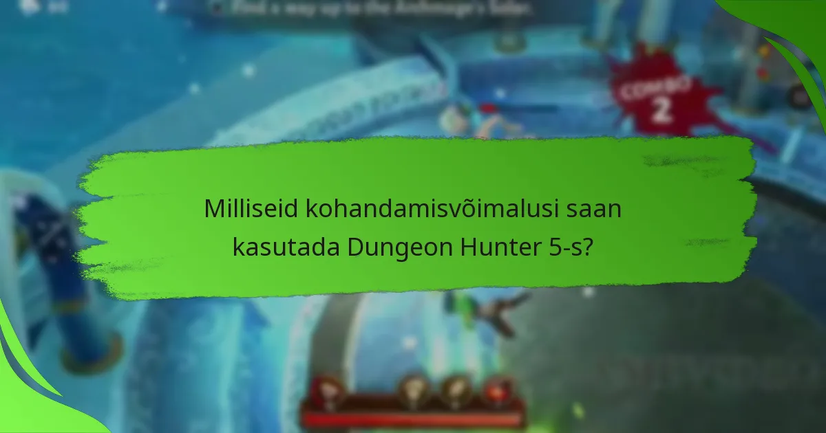 Milliseid kohandamisvõimalusi saan kasutada Dungeon Hunter 5-s?